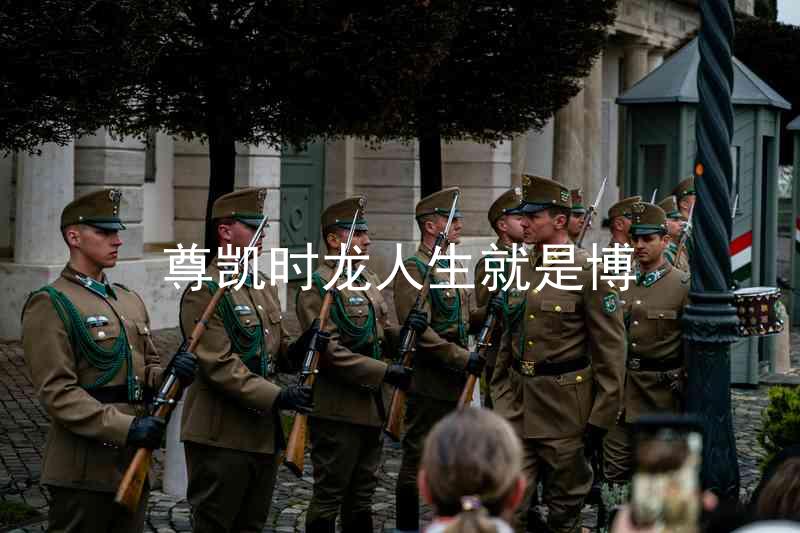 尊凯时龙人生就是博