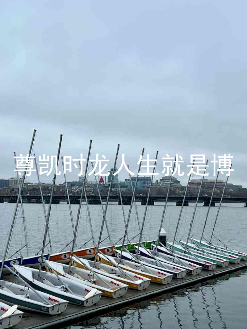 尊凯时龙人生就是博